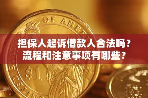 济南担保人起诉借款人合法吗？流程和注意事项有哪些？