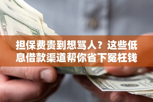 济南担保费贵到想骂人？这些低息借款渠道帮你省下冤枉钱
