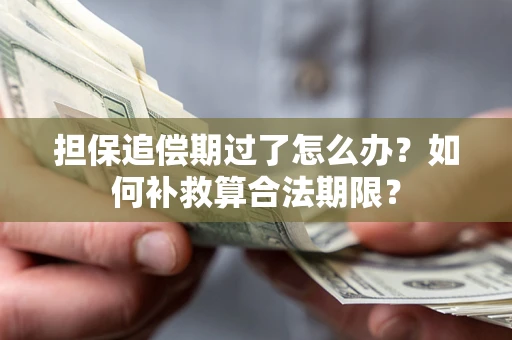 济南担保追偿期过了怎么办？如何补救算合法期限？