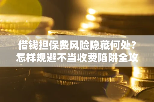 济南借钱担保费风险隐藏何处？怎样规避不当收费陷阱全攻略！